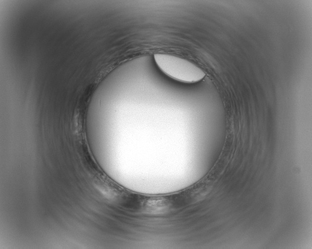 X0000073900173200608110945