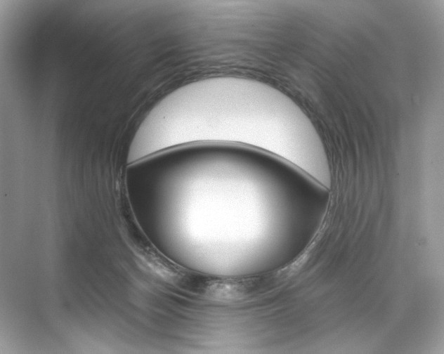 X0000073900174200608110945