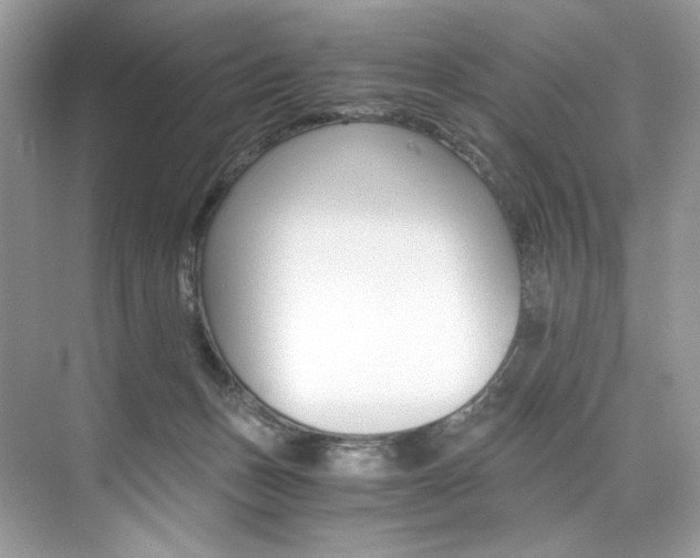 X0000073900175200608110945