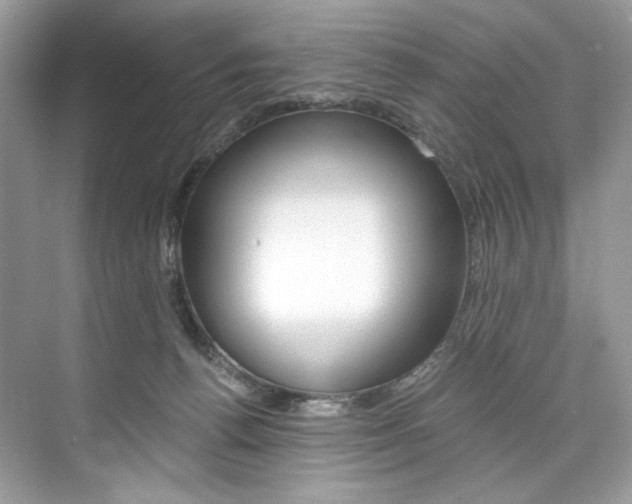 X0000073900176200608110945