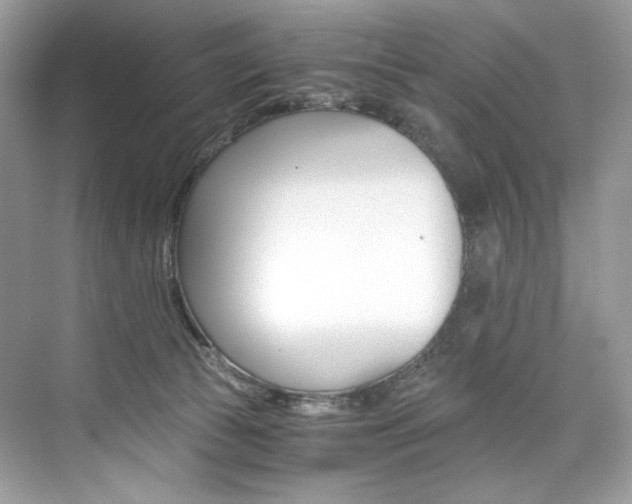 X0000073900177200608110945