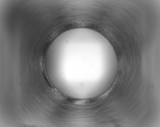 X0000073900178200608110945