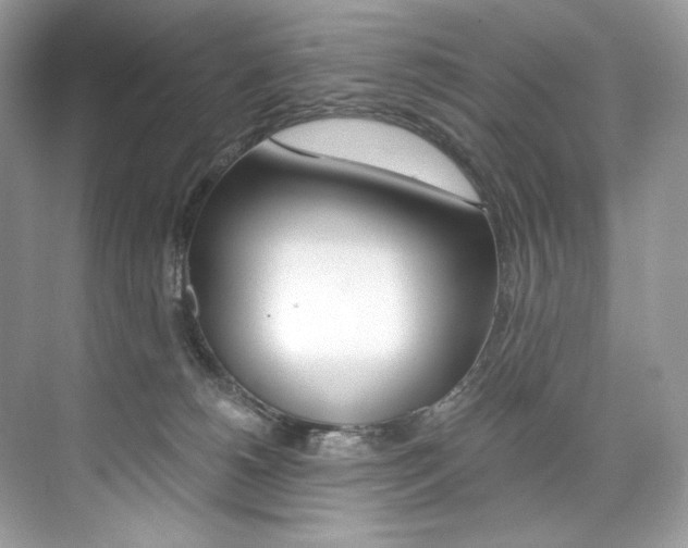 X0000073900180200608110945