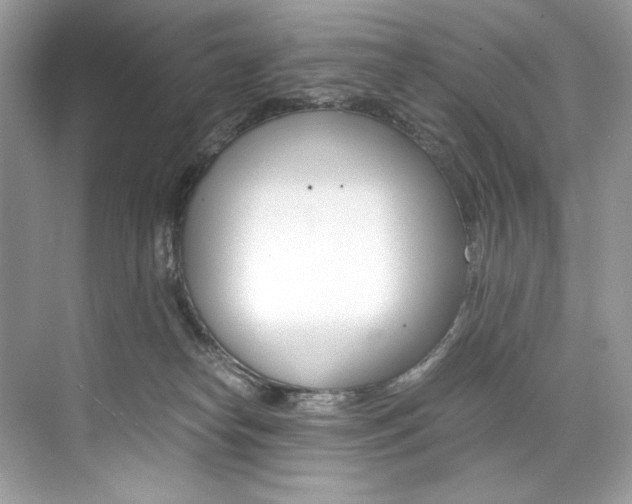 X0000073900182200608110945