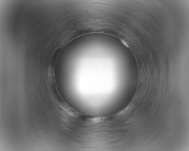 X0000073900184200608110945