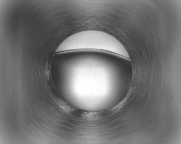 X0000073900186200608110945