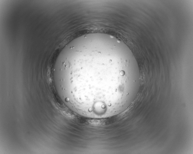 X0000073900187200608110945