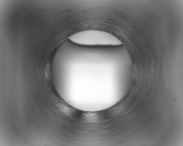 X0000073900189200608110945