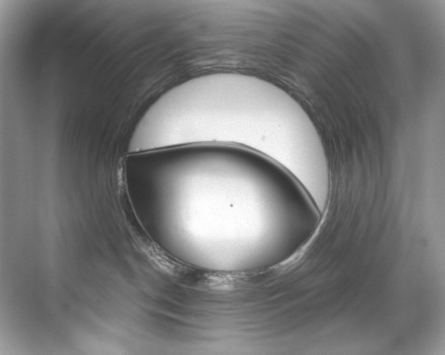 X0000073900190200608110945