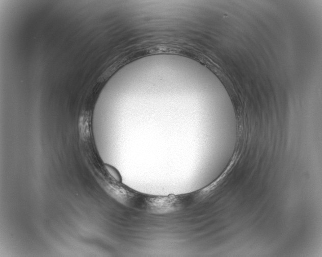 X0000073900191200608110945