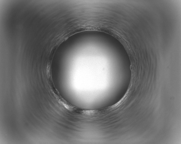 X0000073900192200608110945