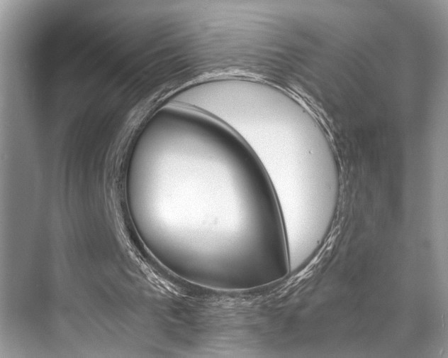 X0000073900193200608110944