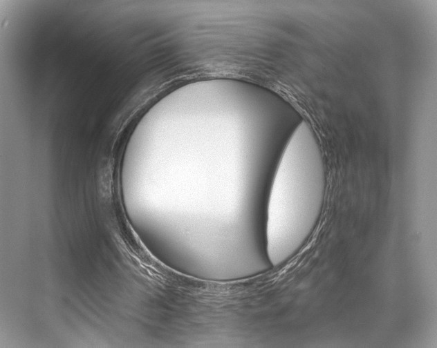 X0000073900194200608110944