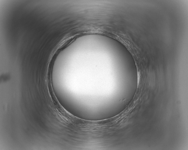 X0000073900195200608110944