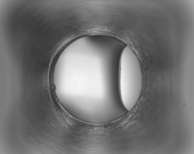 X0000073900196200608110944