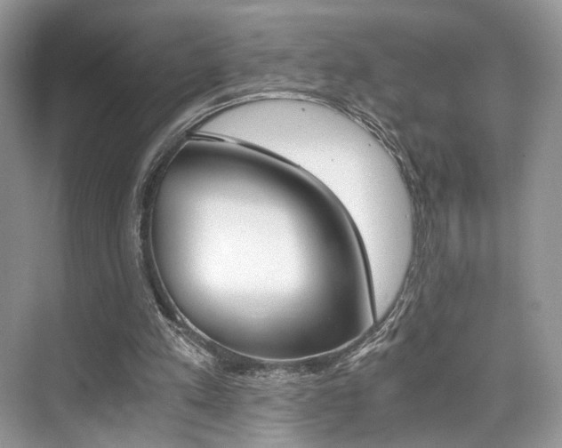 X0000073900197200608110944