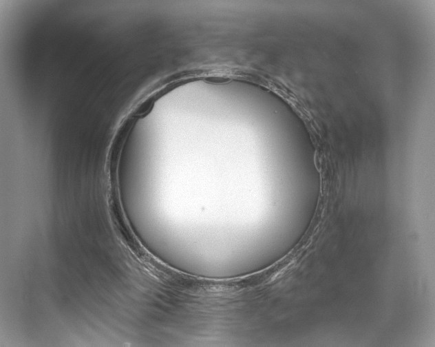 X0000073900198200608110944