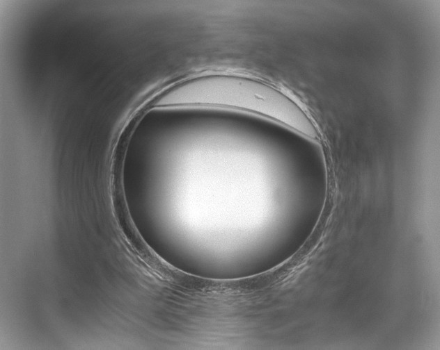 X0000073900199200608110944