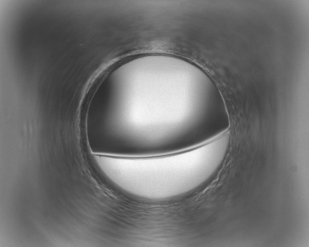 X0000073900200200608110944