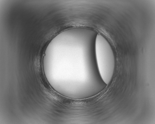 X0000073900202200608110944