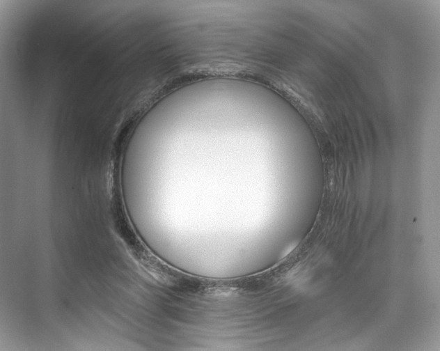 X0000073900206200608110944