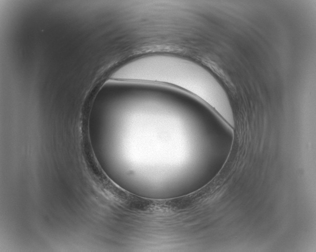 X0000073900207200608110944