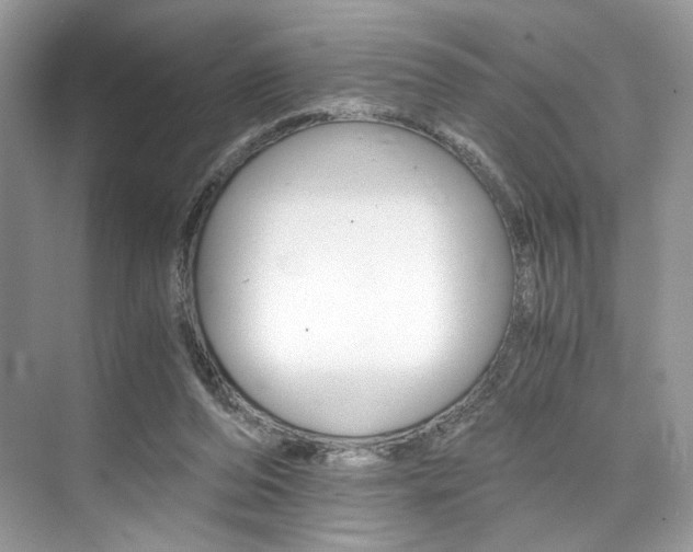 X0000073900208200608110944