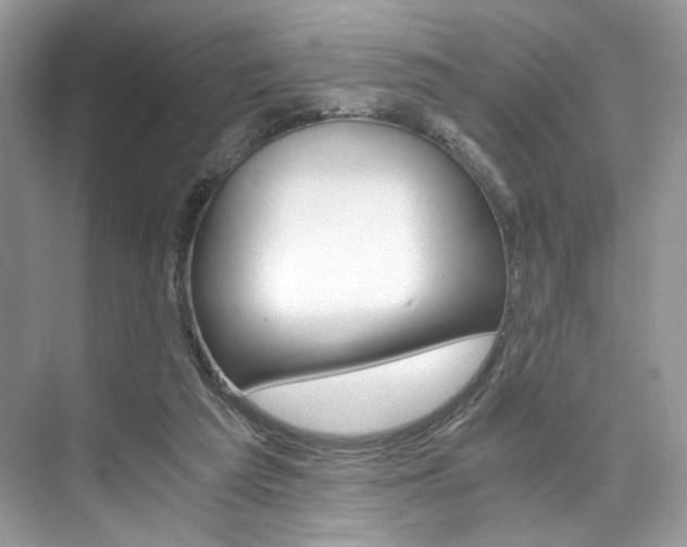 X0000073900209200608110944