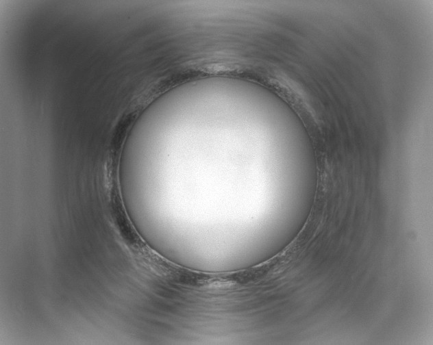 X0000073900210200608110944