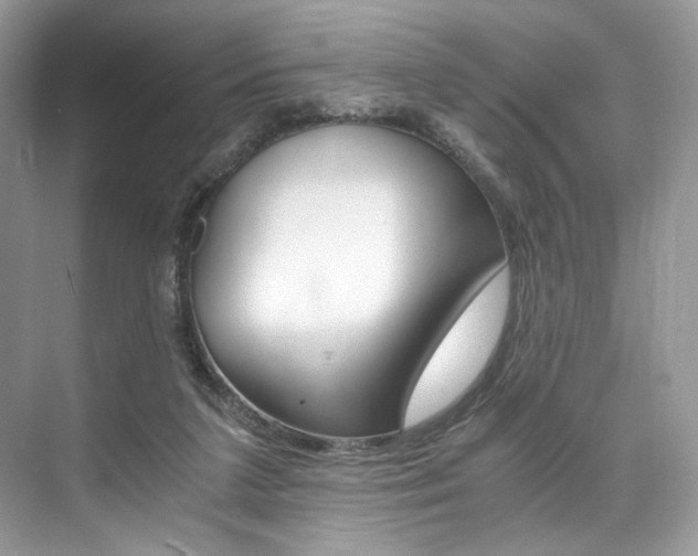 X0000073900211200608110944