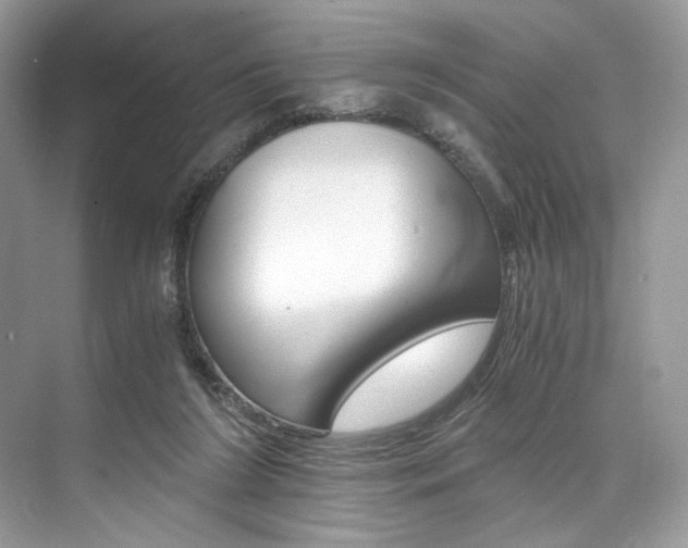 X0000073900212200608110944