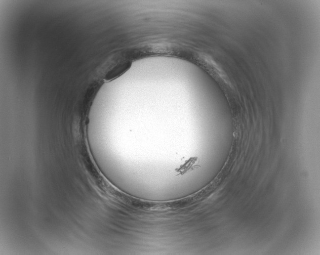 X0000073900213200608110944