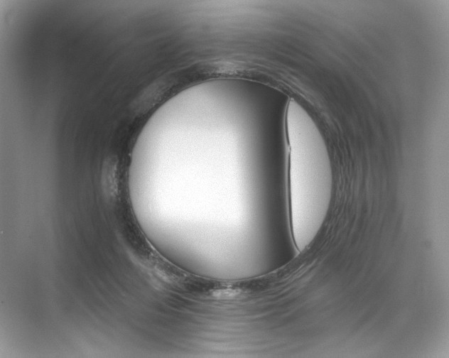 X0000073900216200608110944