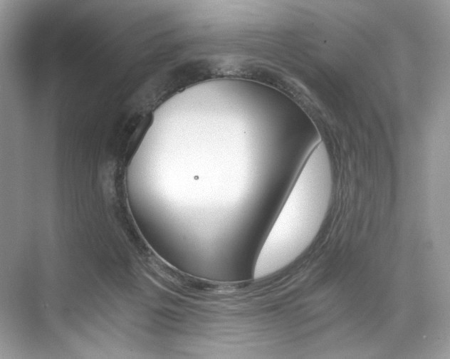 X0000073900217200608110944