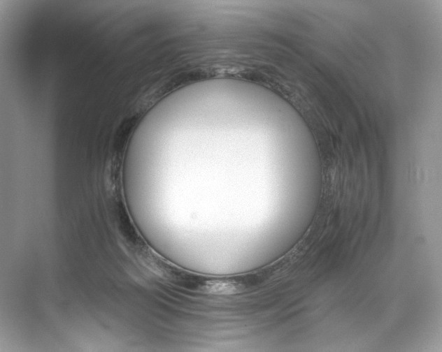 X0000073900218200608110944