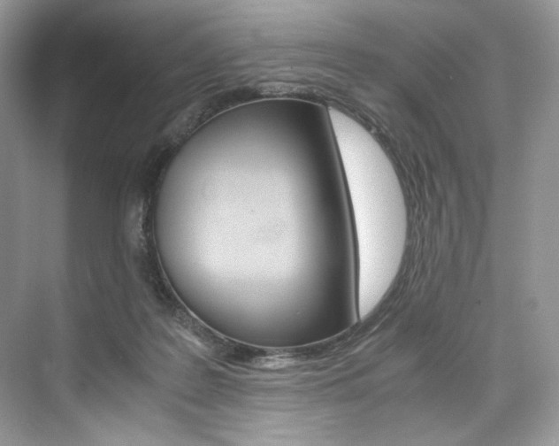 X0000073900219200608110944