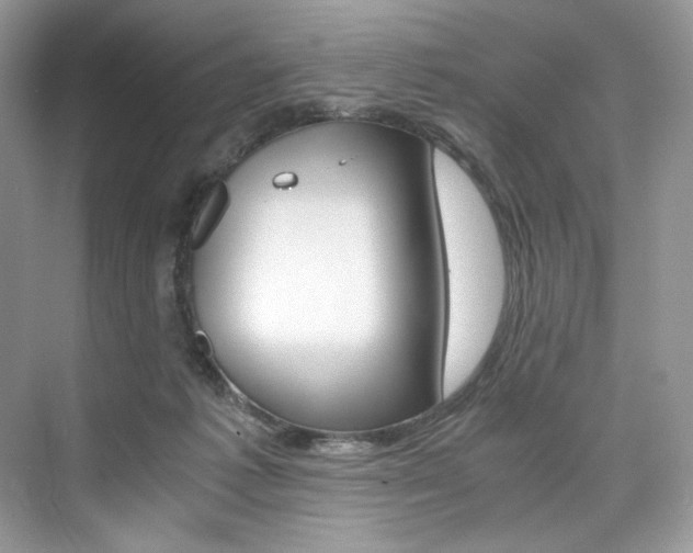 X0000073900221200608110944