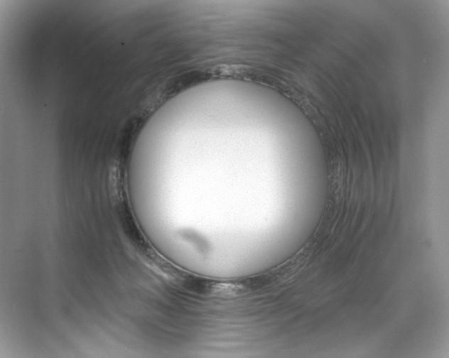 X0000073900222200608110944