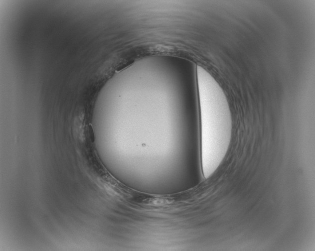 X0000073900223200608110944