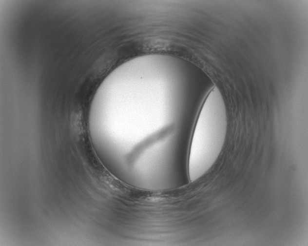 X0000073900224200608110944