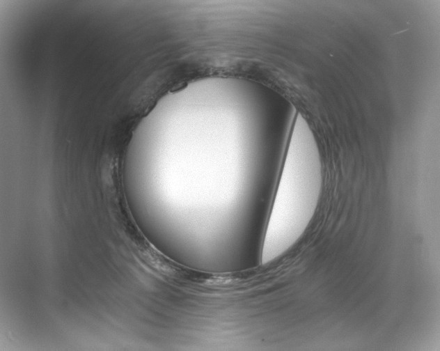 X0000073900225200608110944