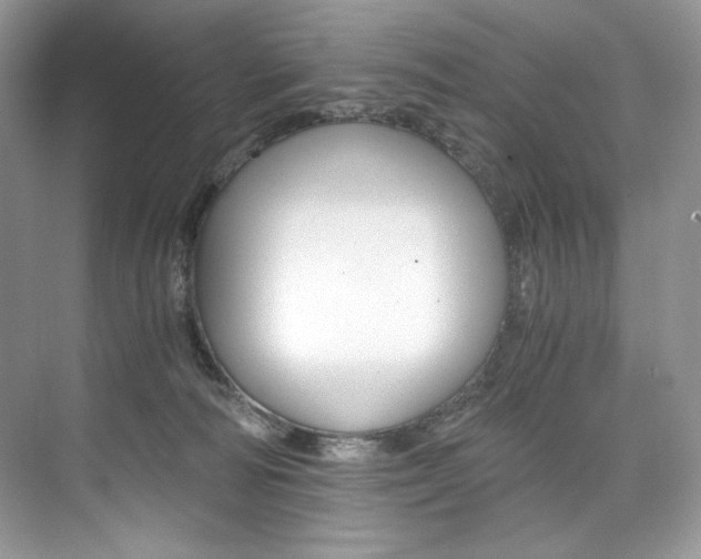 X0000073900226200608110944