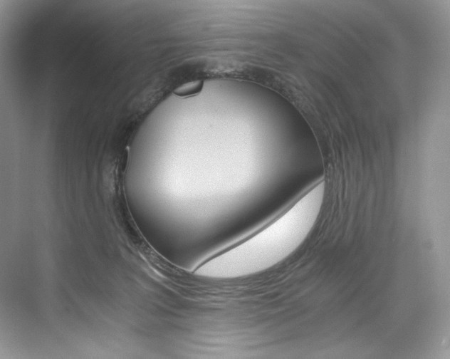 X0000073900227200608110944