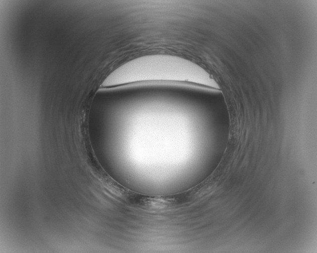 X0000073900229200608110944