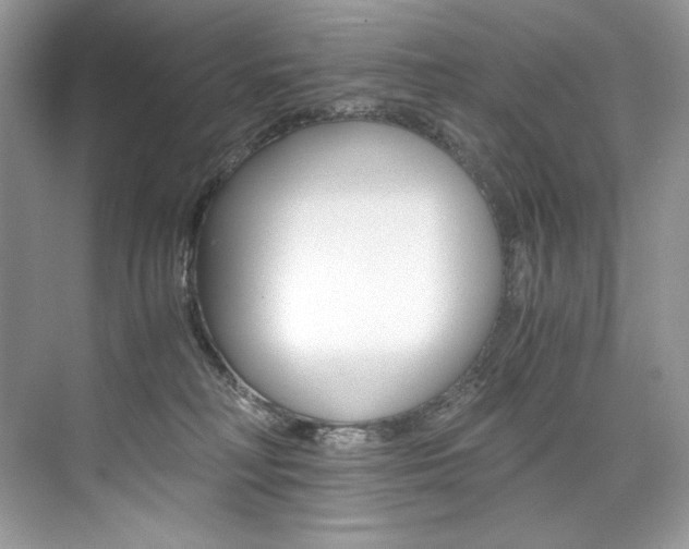 X0000073900230200608110944