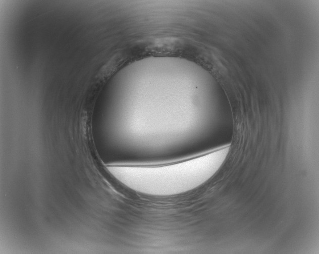 X0000073900231200608110944