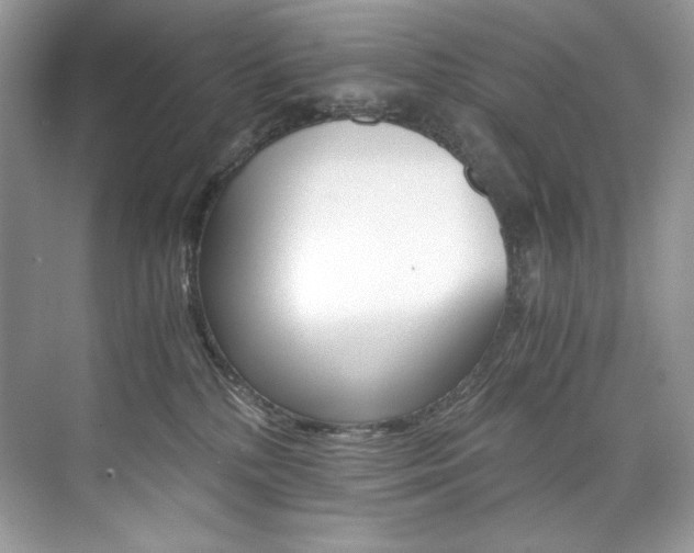 X0000073900232200608110944