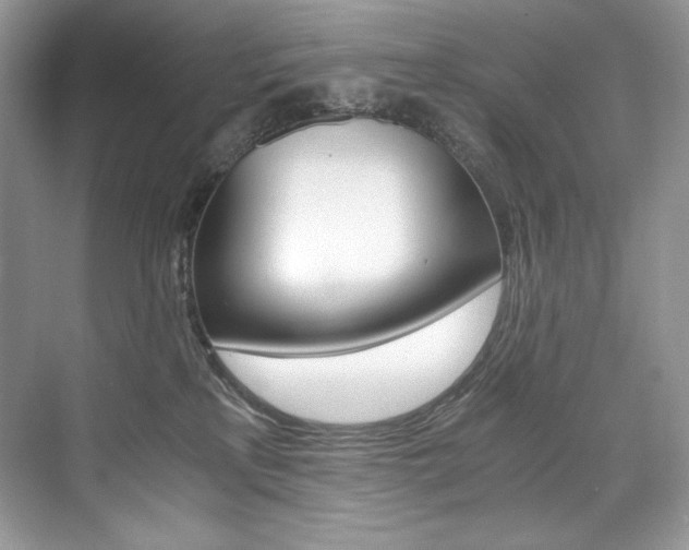 X0000073900233200608110944