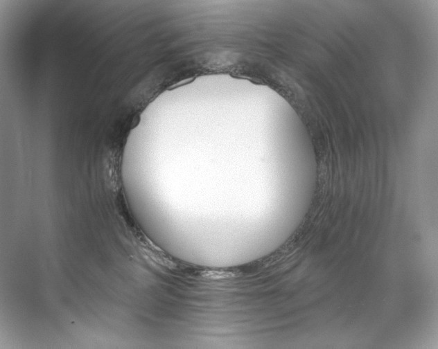 X0000073900234200608110944