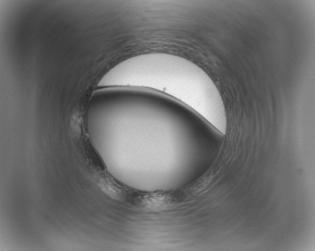 X0000073900235200608110944